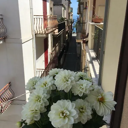Daire Primavera